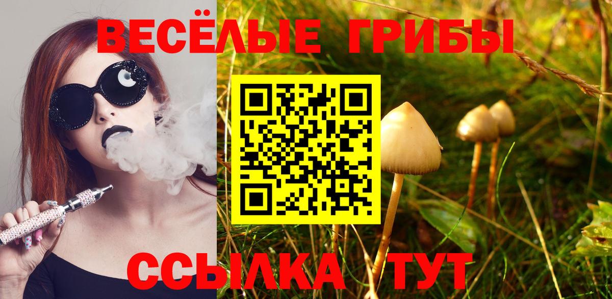 Самара  Галлюциногенные грибы Magic Shrooms  Вход с VPN  Галлюциногенные грибы Magic Shrooms 